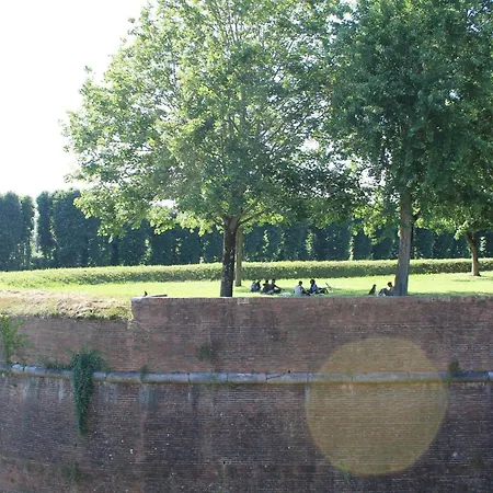 Via Delle Conce Apartment *